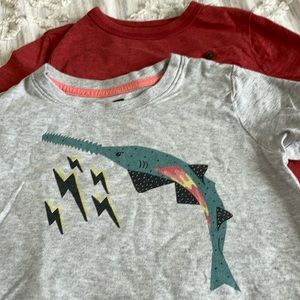 Two shirts - 4T Tea Collection and Old Navy